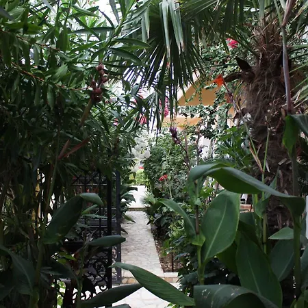 Appartement Nefeli Groundfloor