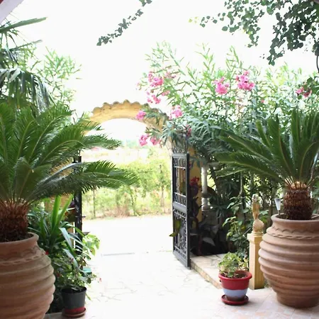 Nefeli Groundfloor *