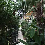 Apartman Nefeli Groundfloor