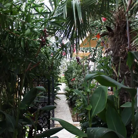 Nefeli Groundfloor Appartement